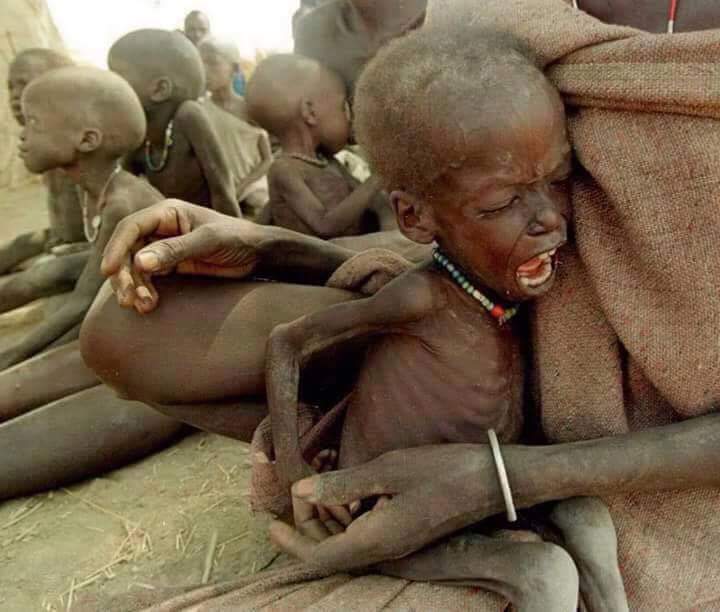 Những đứa trẻ khóc thét vì đói rét mỗi ngày.